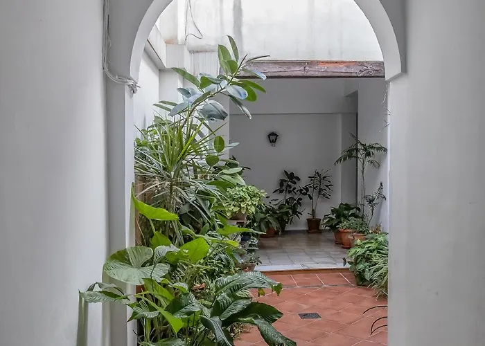 Rosas En La Balconada * コルドバ