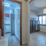 Rosas En La Balconada